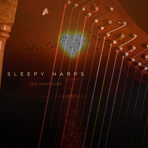 欧美另类SAMXXX残虐
